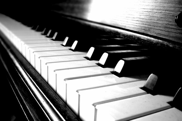 Czarno-białe klawisze fortepianu
