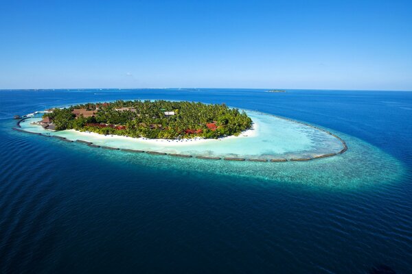 A green island in the ocean in summer