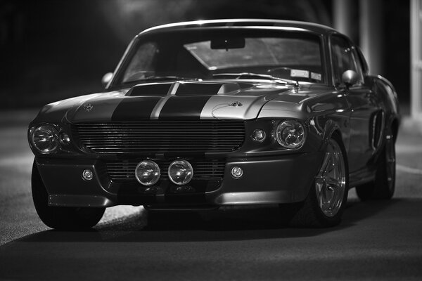 Ford Mustang schwarz-weiß Foto