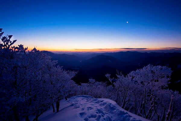 Paisaje de invierno, bosque cielo al atardecer, nieve