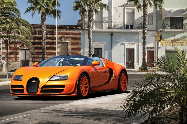 Na ulicy pod palmami pomarańczowy Bugatti