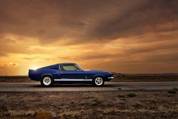 The blue mustang in the sunset