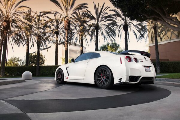 A white Nissan is parked on the street under palm trees