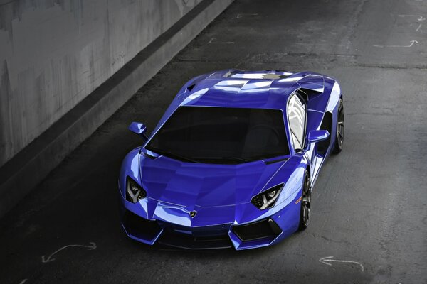 Blauer Lamborghini Draufsicht