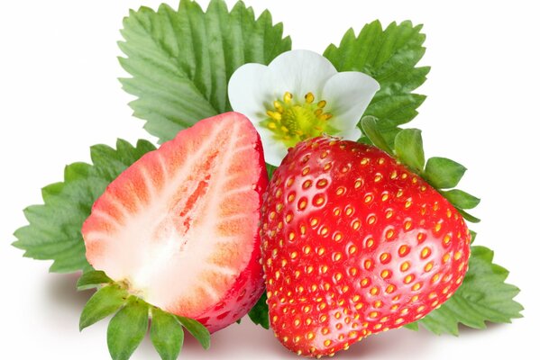 Ripe strawberries on a white background