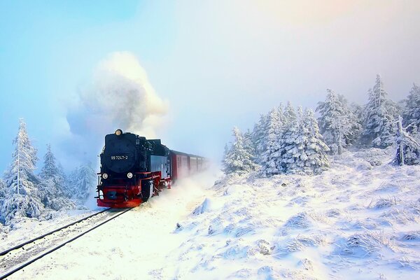 Steam locomotive on rails in the winter forest