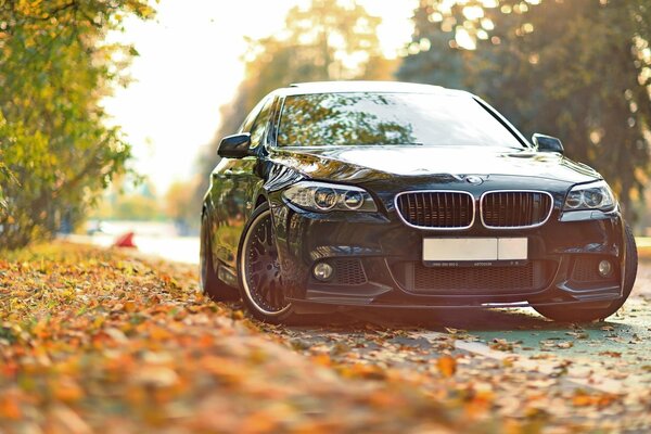 BMW sur fond de feuilles d automne