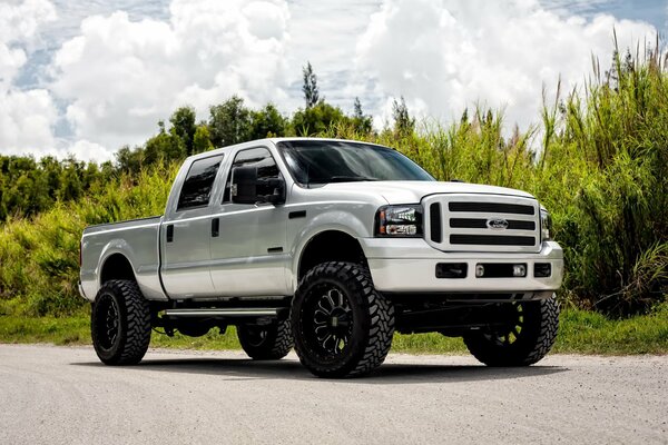 Gray pickup truck on the road in the forest