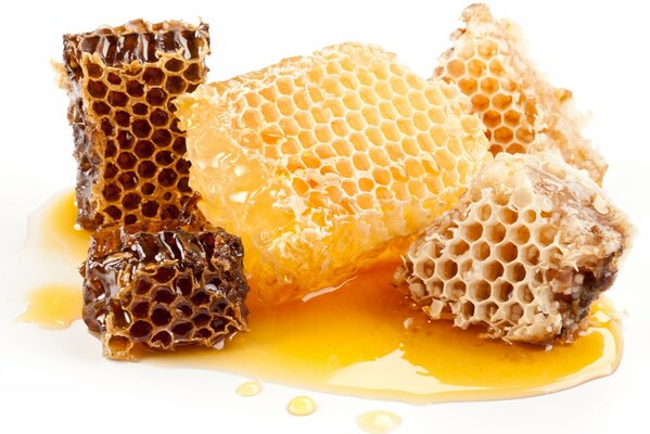 White and dark honeycomb with sweet honey