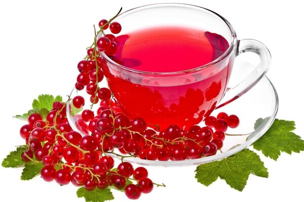 Currant tea on a white background