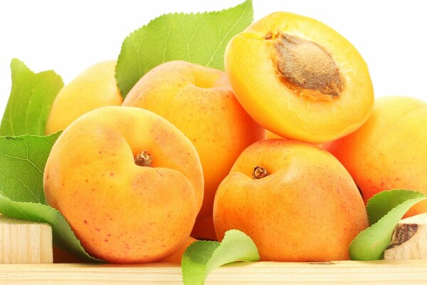 Juicy orange apricots with leaves