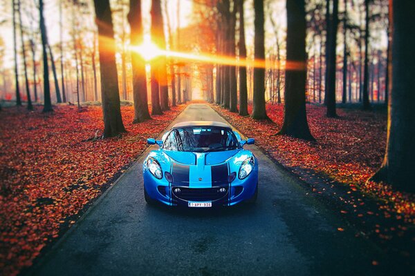 Blue sports car in the autumn forest