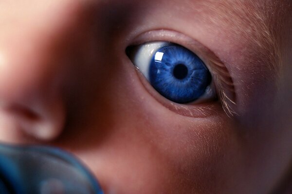 Piccolo bambino con gli occhi azzurri