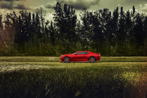 Bright chevy camaro on a forest road