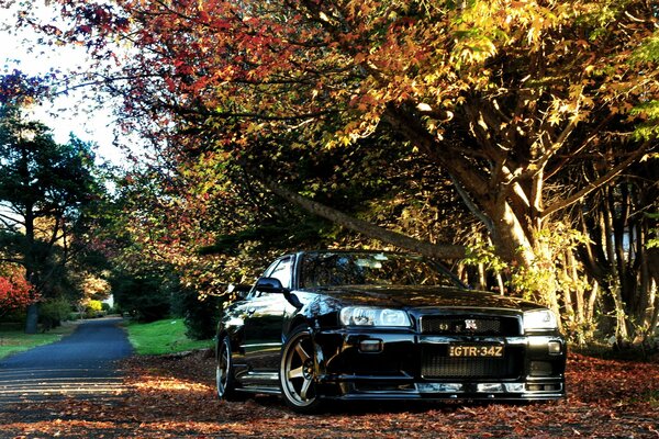 Car on the background of a beautiful landscape