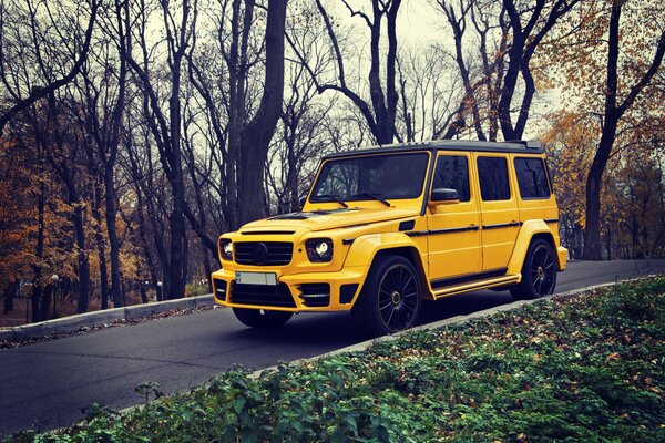 Żółty SUV na jesiennej drodze