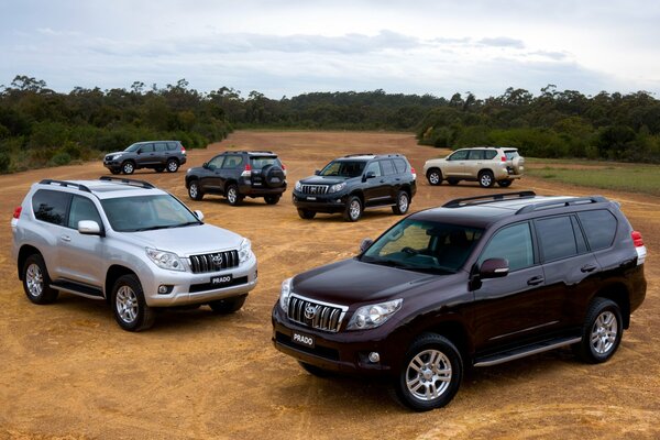 Vus Toyota dans la savane africaine