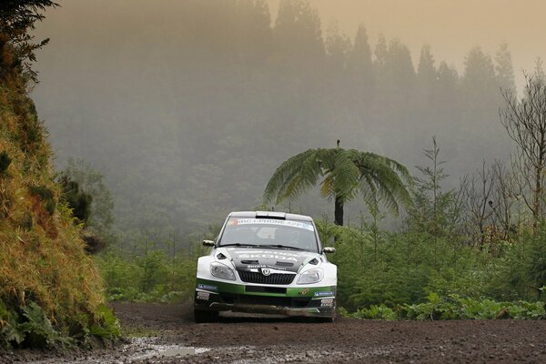 Skoda Fabia sullo sfondo della nebbia