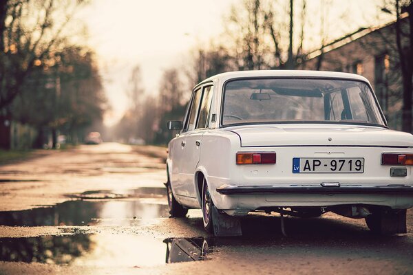 Lada blanca kopekka se encuentra en el camino de otoño