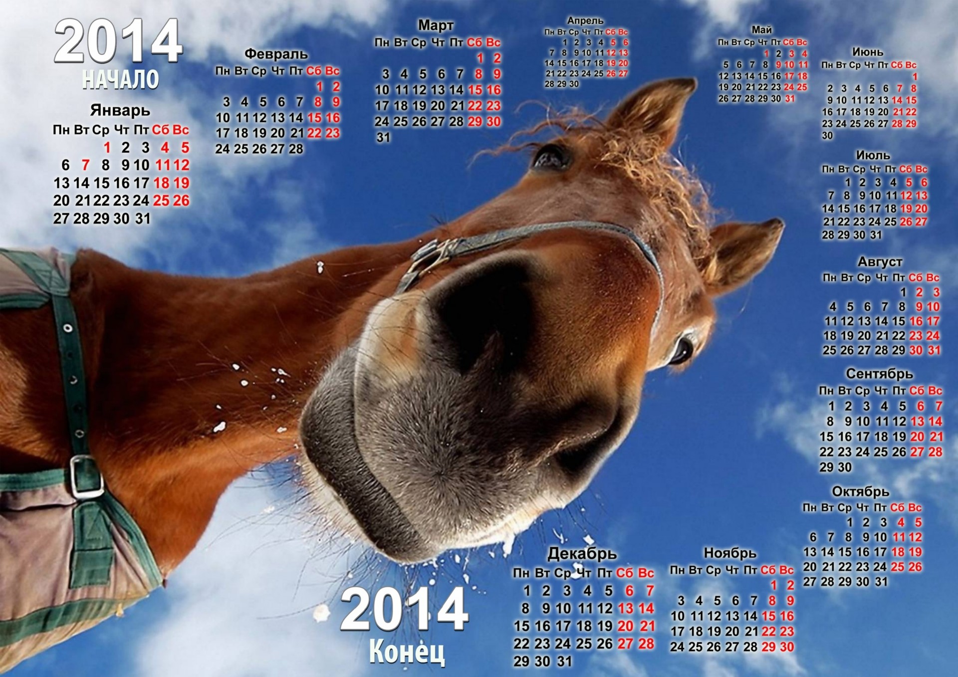 2014 année du cheval calendrier