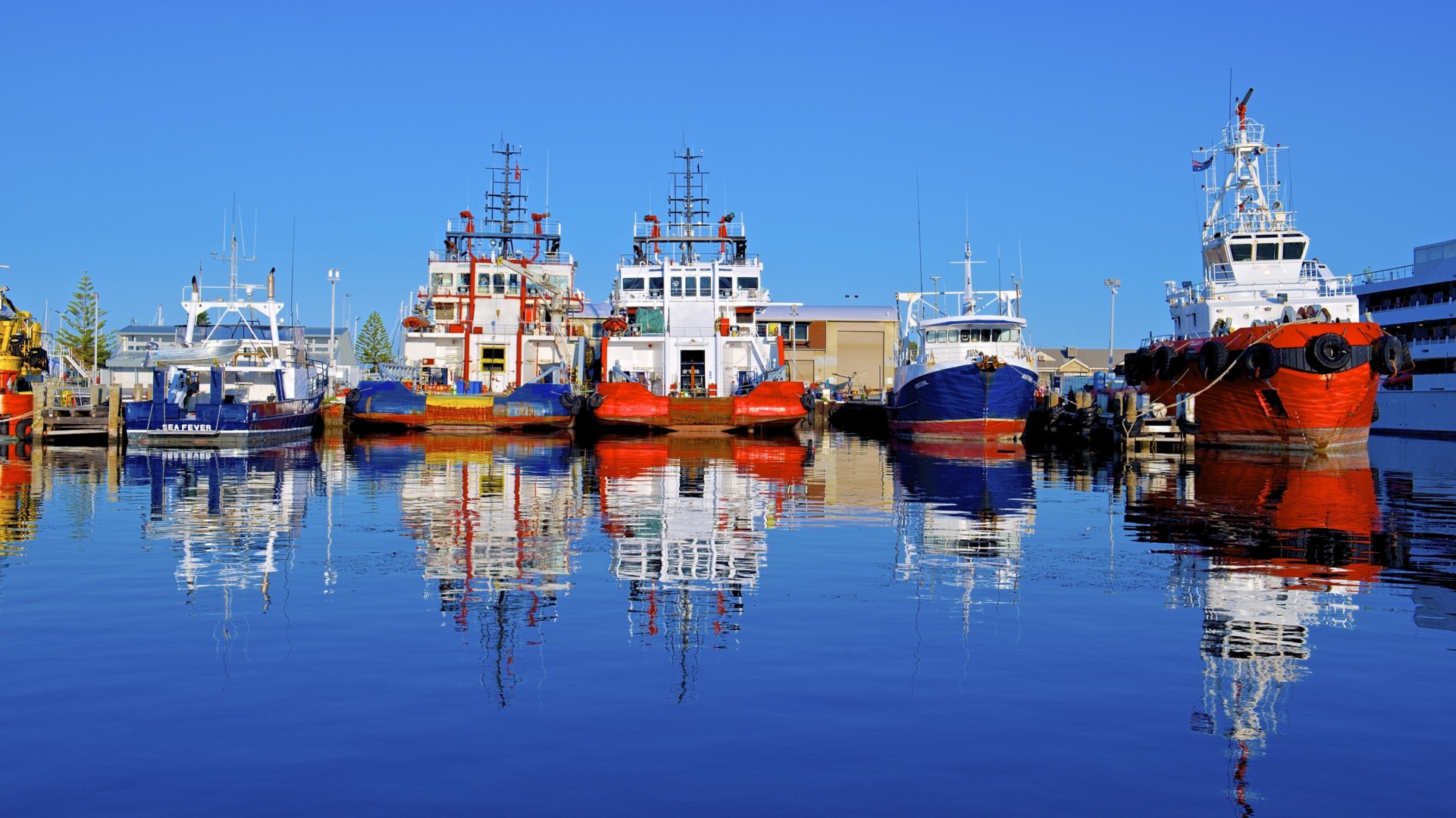 refleksja australia port symfonia