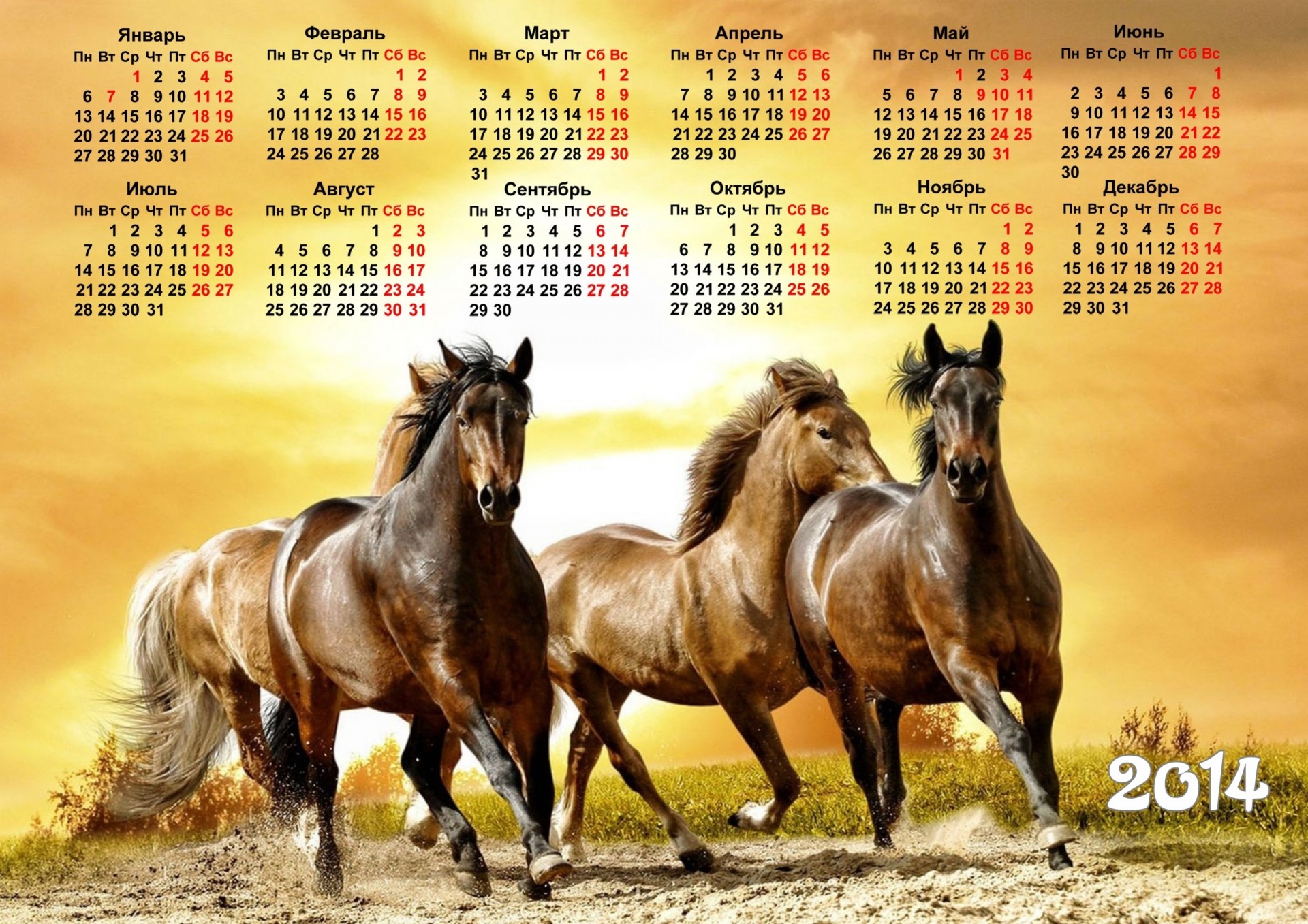 2014 anno del cavallo calendario