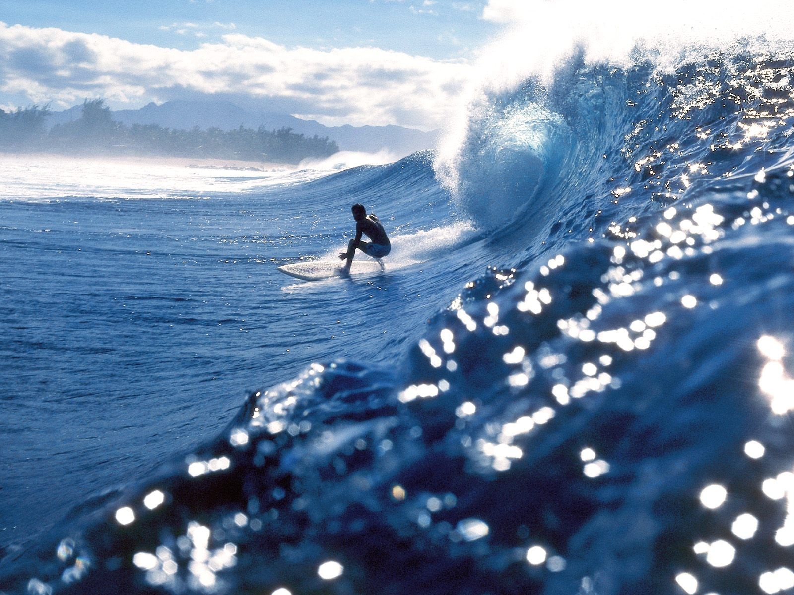 waves board welle sommer strand