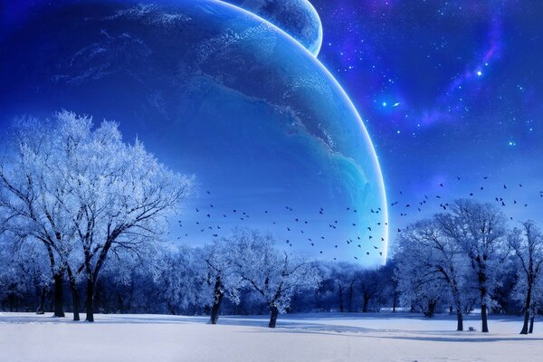 Image of the big moon in winter poruf