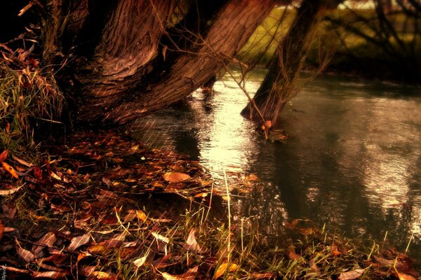 Autumn beauty in the reflection of the lake