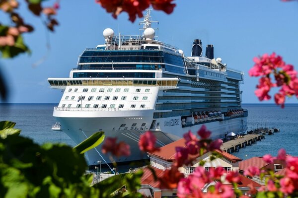 Crucero en el mar a través de las flores