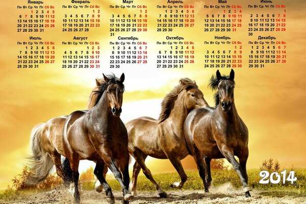Календарь на 2014 год с бегущими на закате лошадьми