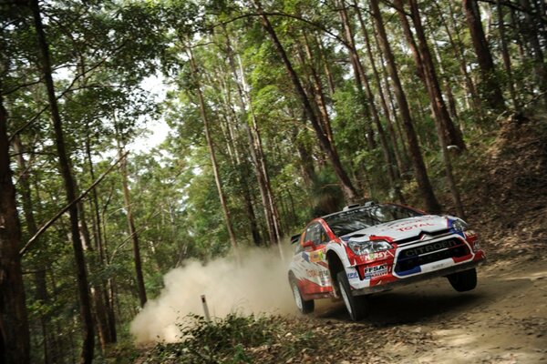 Car racing in the forest flying car