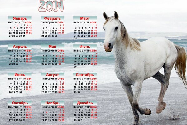 Calendar for 2014 with a white horse