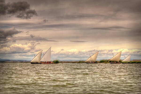 Les voiliers courent sur les vagues