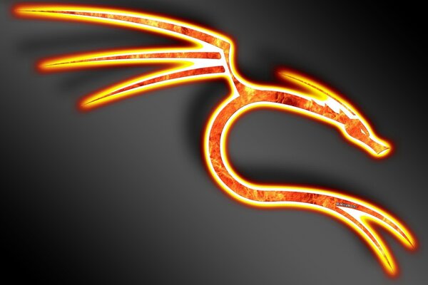 Image of a red-orange dragon on a dark background