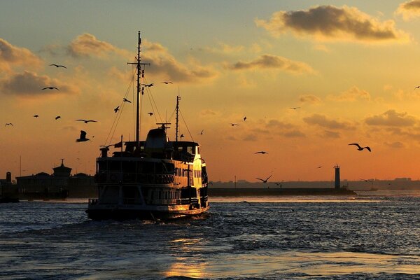 Landscape ship on the sea seagulls flying