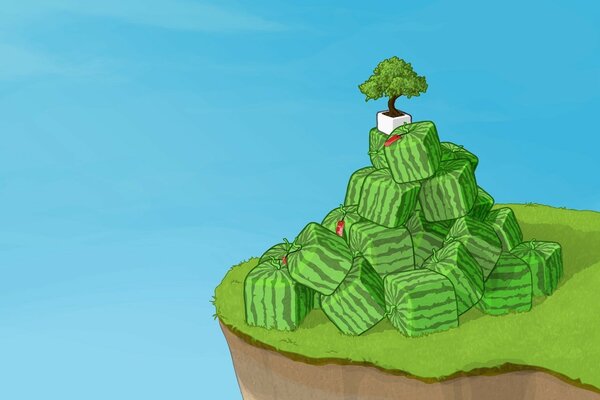 Bonsai of square watermelons over a cliff