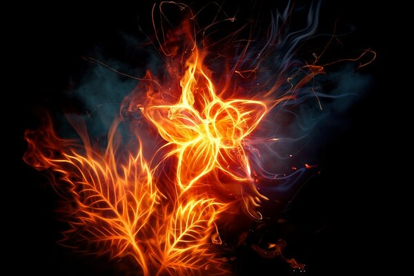 A flower made of fire