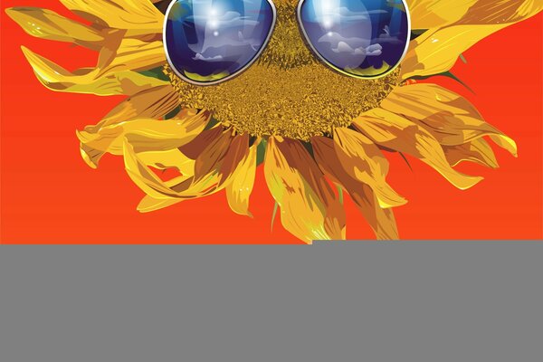 Coole Sonnenblume mit schwarzer Brille