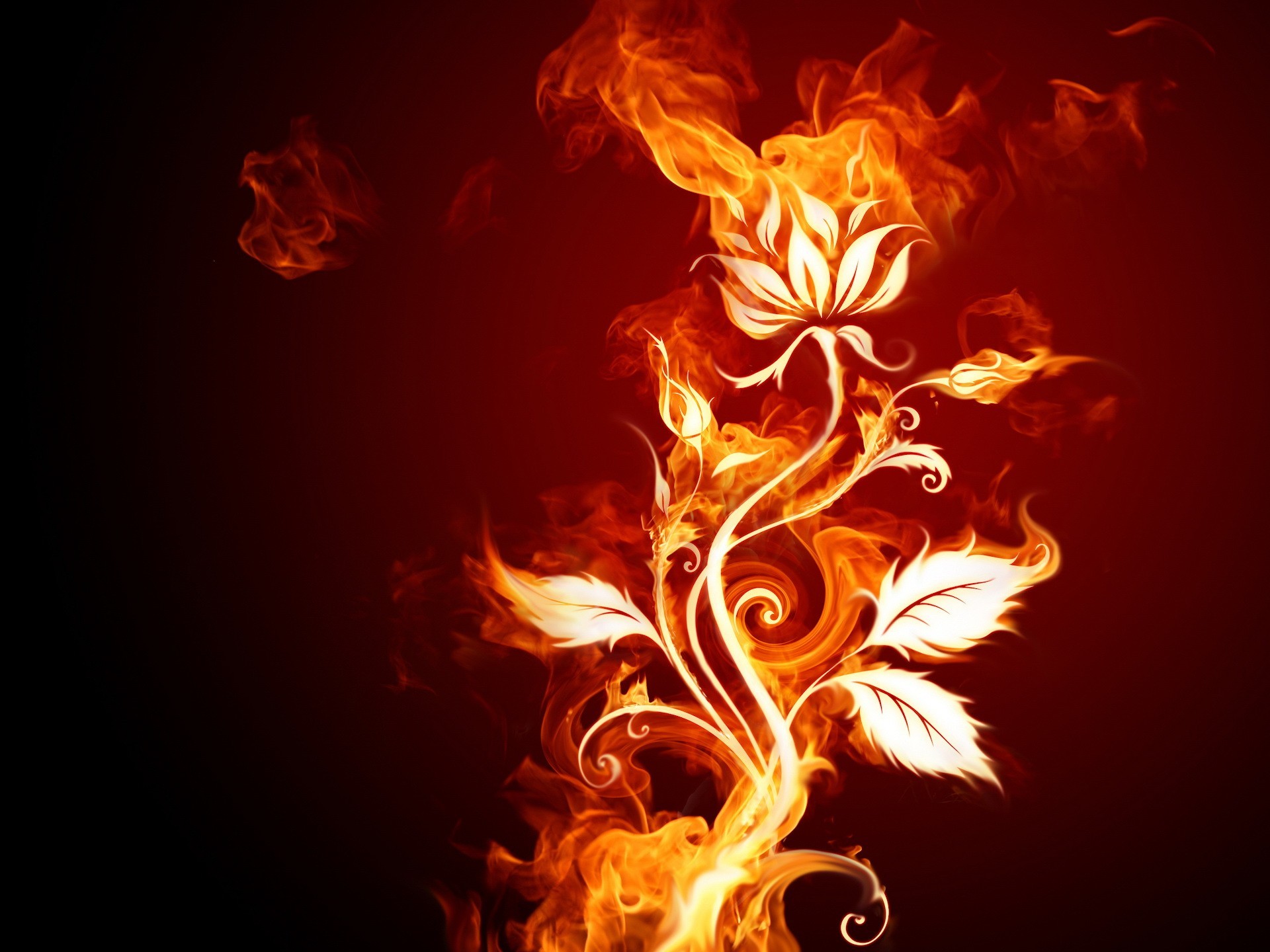 fire flower