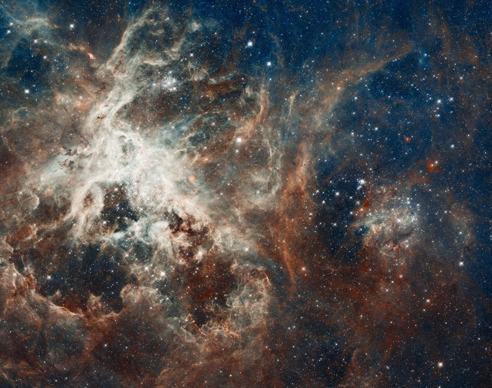 ngc 2070 tarantula nebula dorado constellation