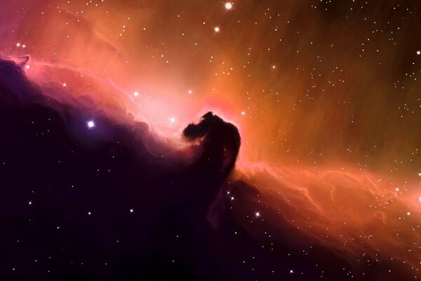 Nebulosa Testa di cavallo. foto dello spazio