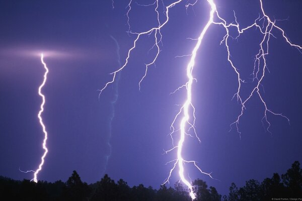 Beaucoup de foudre au-dessus de la forêt. orage dans la nuit