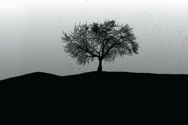 Czarno-biały obraz z samotnym drzewem w oddali