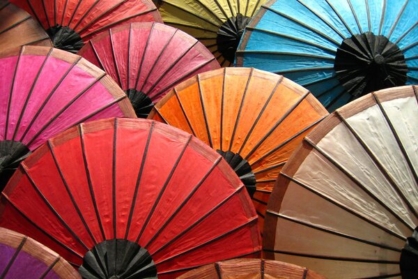 Colorful colored umbrellas