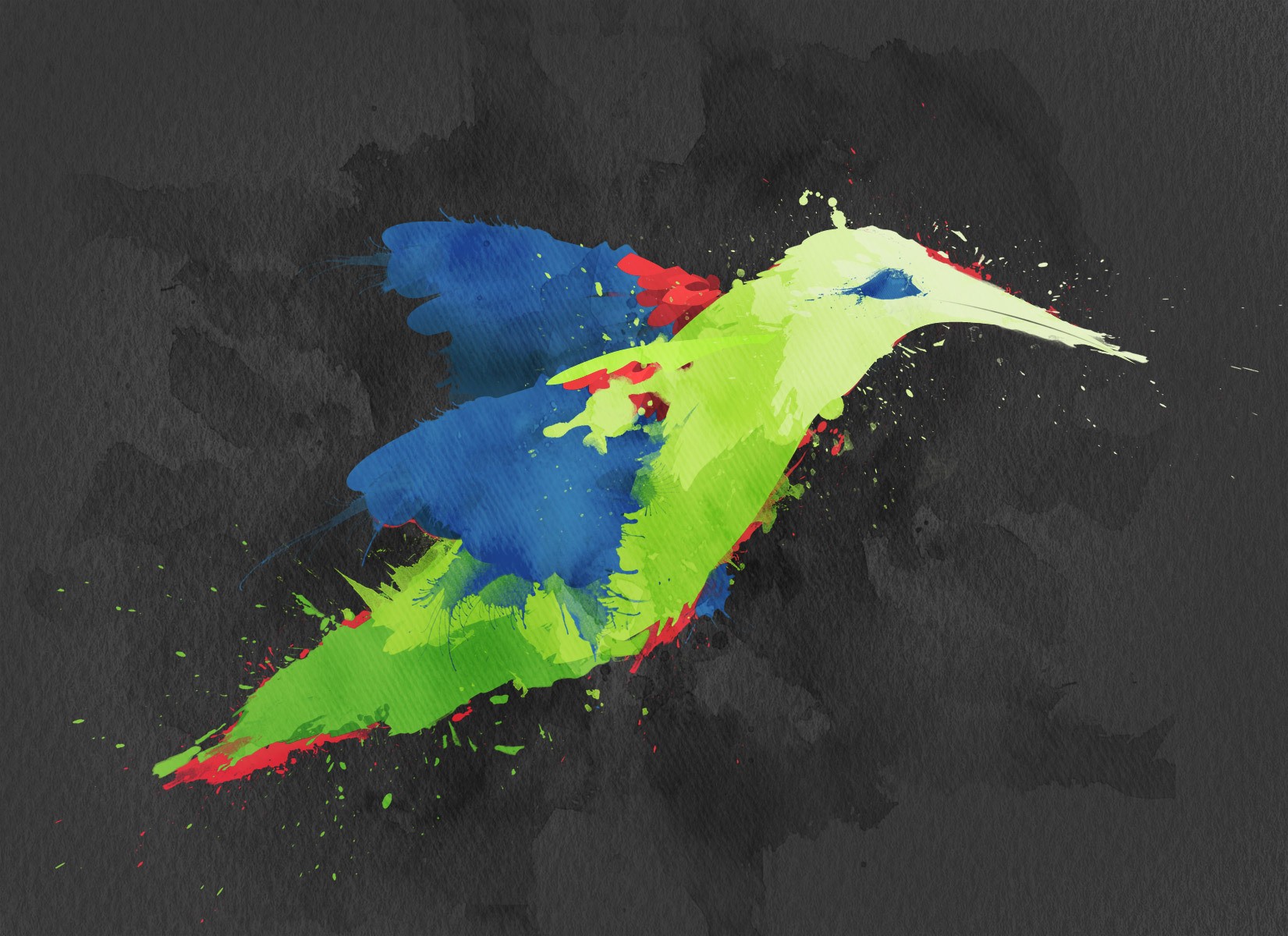 pájaro pintura vector acuarela