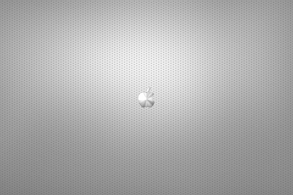 Steel apple on a gray background