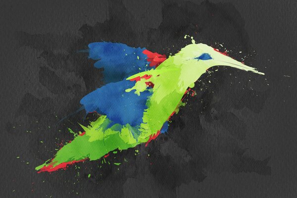 The bird is depicted through watercolor has a clear vector and bright colors are used