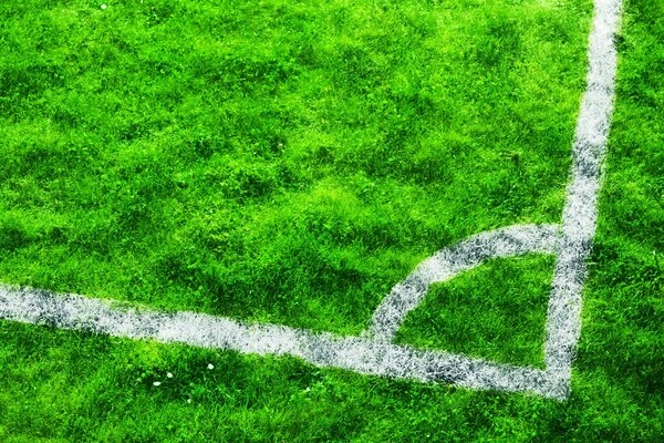 Boisko do piłki nożnej na malowniczo zielonej trawie