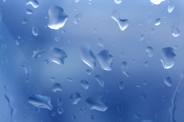 Wet drops on blue glass